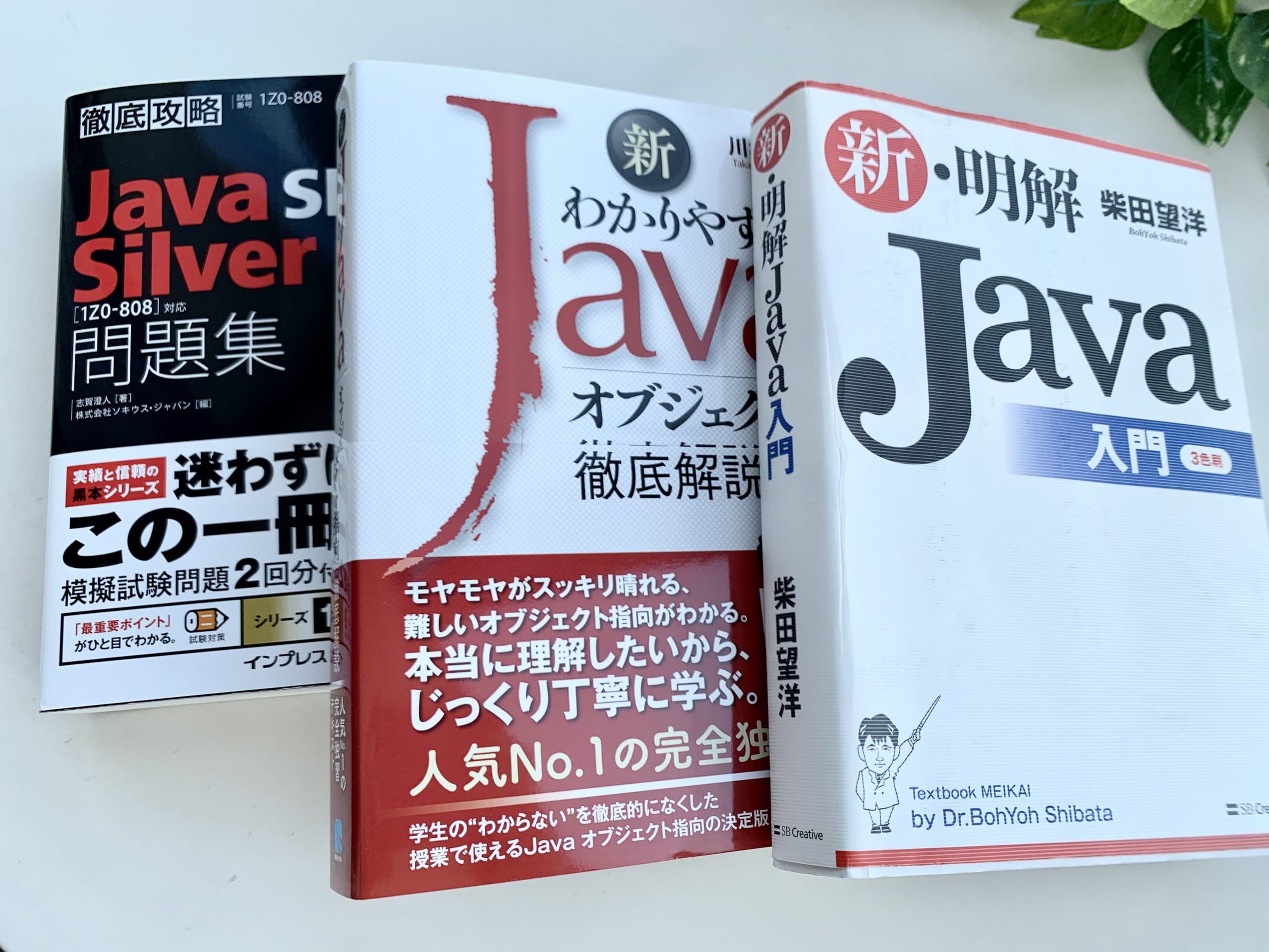 Javaの技術書